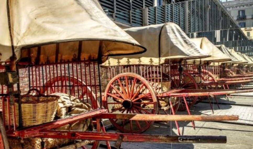 Born Cultural Centre-5